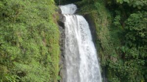 Trafalgar Falls pouring through green rainforest